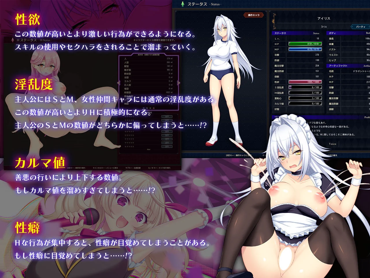 ドラゴンブラッド＋追加DLC1セット 画像1